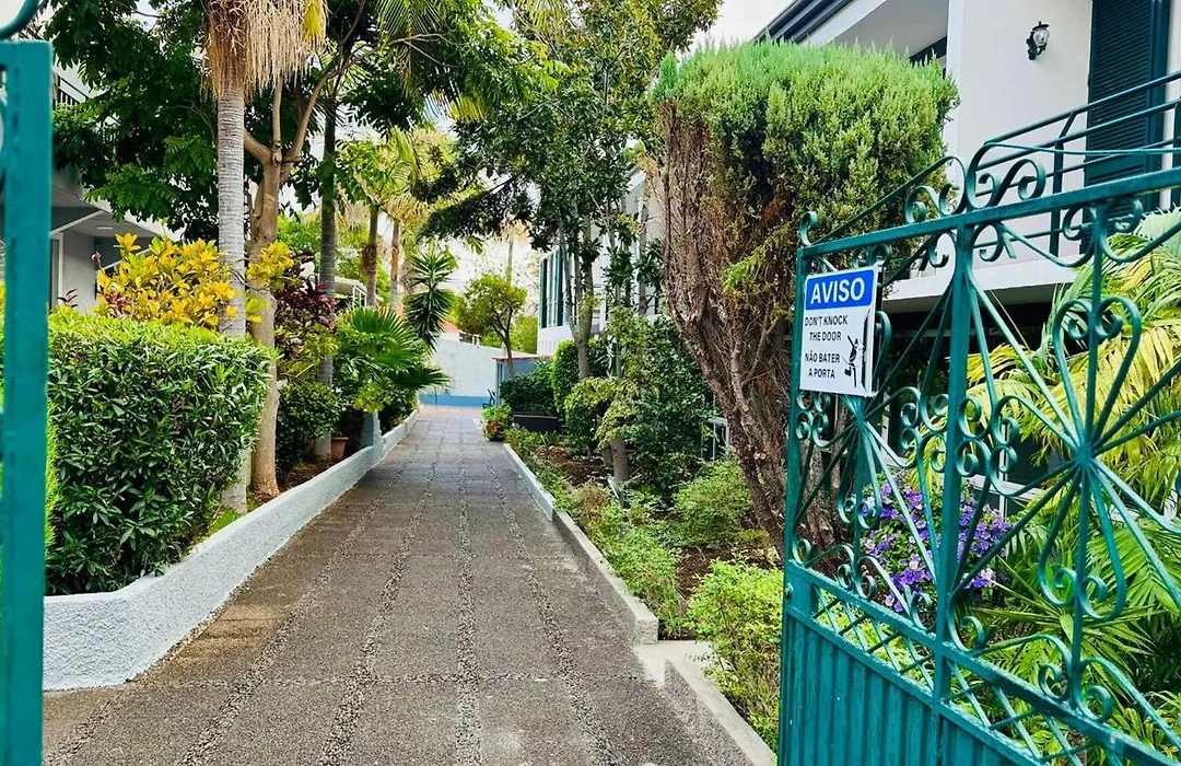 Monte Verde-1